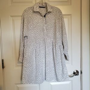 Zara Polka Dot Dress